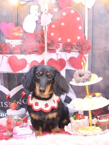 20250220ロブくん